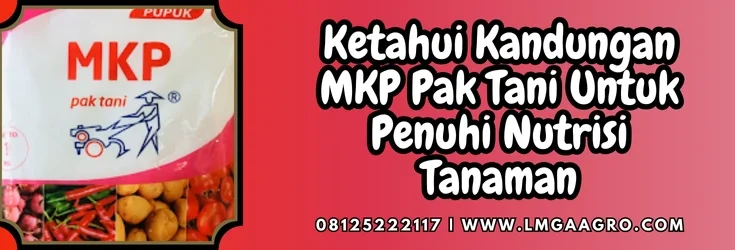 Pupuk mkp pak tani, harga pupuk mkp, budidaya tanaman, kandungan mkp pak tani, mkp pupuk, Lmga Agro