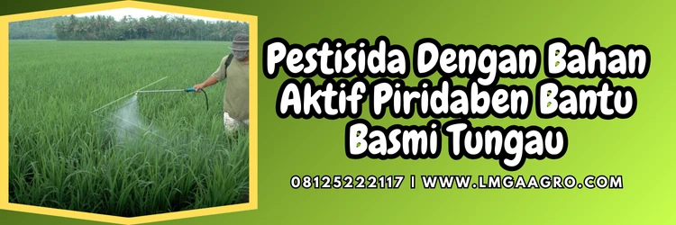 Jual Akarisida Kualitas Super Harga Terjangkau | Lmga Agro Insektisida akarisida, akarisida terbaik, merek dagang bahan aktif piridaben, insektisida pirdaben, bahan aktif akarisida, Lmga Agro