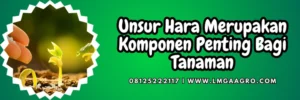 Kandungan ultradap, jenis jenis pupuk, pupuk adalah, manfaatk pemupukan, fungsi pupuk, Lmga Agro