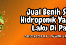 Sayuran hidroponik yang paling cepat laku, tanaman cepat panen, budidaya sayuran hidroponik, tanaman sayur hidroponik, tanaman hidroponik, Lmga Agro