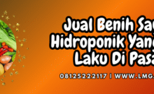 Sayuran hidroponik yang paling cepat laku, tanaman cepat panen, budidaya sayuran hidroponik, tanaman sayur hidroponik, tanaman hidroponik, Lmga Agro
