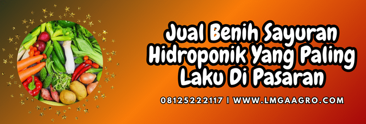 Sayuran hidroponik yang paling cepat laku, tanaman cepat panen, budidaya sayuran hidroponik, tanaman sayur hidroponik, tanaman hidroponik, Lmga Agro