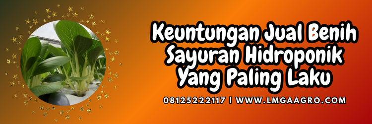 Jual Benih Sayuran Kualitas Super Harga Murah | Lmga Agro Sayuran hidroponik yang paling cepat laku, tanaman cepat panen, budidaya sayuran hidroponik, tanaman sayur hidroponik, tanaman hidroponik, Lmga Agro