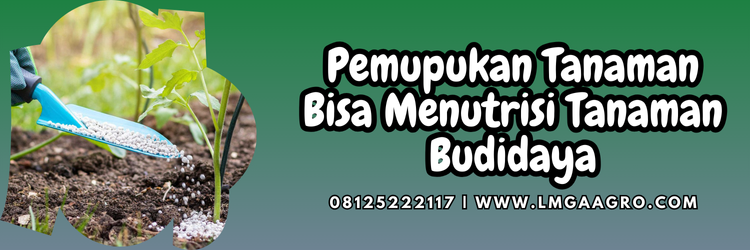Kandungan pupuk ultradap pak tani, jenis jenis pupuk, pupuk adalah, manfaat pemupukan, fungsi pupuk, Lmga Agro