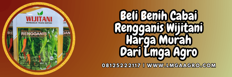 Cabe Rawit Rengganis Benih Unggul Untuk Petani Cabai | Lmga Agro jual,murah,terjangkau,toko pertanian terdekat,lmga agro