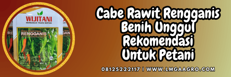 Cabe Rawit Rengganis Benih Unggul Untuk Petani Cabai | Lmga Agro cabai,cabai rawit,cabai rawit rengganis,petani,lmga agro