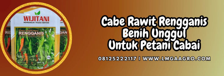 cabe rawit rengganis,cabe,cabe rawit,rengganis,lmga agrp