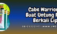 cabe,warrior,bisi,cap kapal terbang,lmga agro