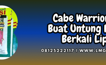 cabe,warrior,bisi,cap kapal terbang,lmga agro