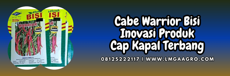 cabai,cabe besar,cabe merah besar,cmb,cap kapal terbang,lmga agro