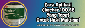 cara,aplikasi,dosis,clincher herbisida,lmga agro