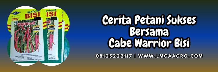 cerita,petani,budidaya,budidaya cabe,warrior cap kapal terbang,lmga agro