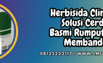 herbisida,clincher,clincher 100 ec,corteva,lmga agro