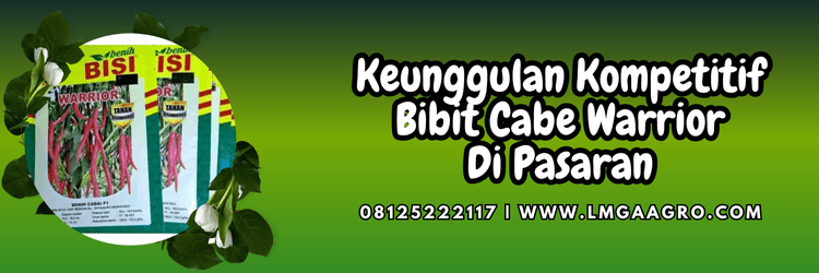 keunggulan,kelebihan,benih,cabai,cabai warrior,lmga agro