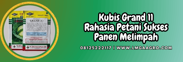 kubis,grand 11,cap kapal terbang,bisi,lmga agro