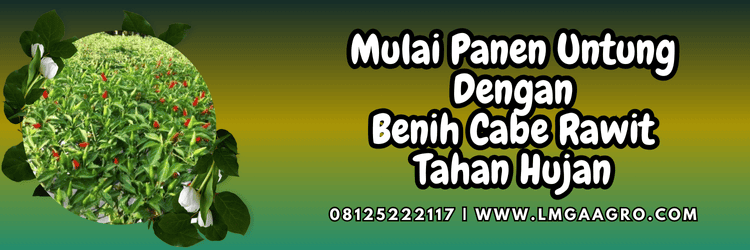 jual,murah,terjangkau,toko pertanian terdekat,lmga agro