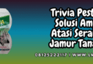 trivia,pestisida,bayer,trivia 73 wp,lmga agro