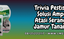 trivia,pestisida,bayer,trivia 73 wp,lmga agro