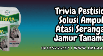 Trivia Pestisida Solusi Ampuh Atasi Serangan Jamur Tanaman