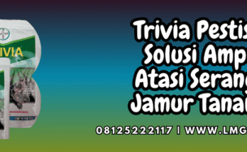 trivia,pestisida,bayer,trivia 73 wp,lmga agro