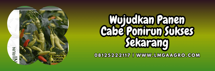 jual,murah,terjangkau,toko pertanian terdekat,lmga agro