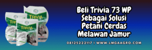 Jual Fungisida Trivia 73 WP Harga Terjangkau | Lmga Agro
