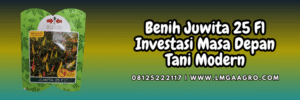 jual,murah,terjangkau,toko pertanian terdekat,lmga agro