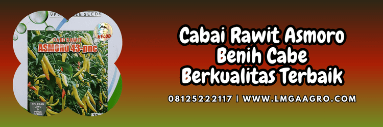 asmoro 43 pnc,sri rejeki,cabe rawit asmoro,cabe rawit asmoro 43 pnc,lmga agro