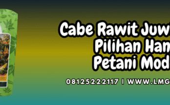 cabe,cabe rawit,juwita 25,f1,lmga agro