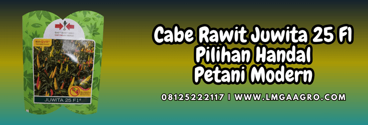 cabe,cabe rawit,juwita 25,f1,lmga agro