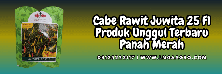 cabai,cabai rawit,cabe juwita 25,juwita 25 f1,lmga agro