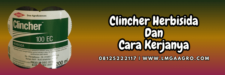 pestisida,pestisida jenis herbisida,gulma,herbisida clincher,clincher corteva,lmga agro