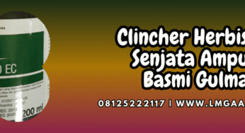 Clincher Herbisida Senjata Ampuh Basmi Gulma