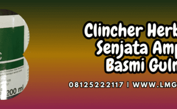 clincher,herbisida,clincher 100 ec,corteva,lmga agro