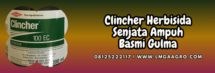 clincher,herbisida,clincher 100 ec,corteva,lmga agro