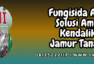 fungisida,arashi,bumi jaya makmur,pertanian,budidaya tanaman,lmga agro