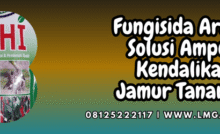 fungisida,arashi,bumi jaya makmur,pertanian,budidaya tanaman,lmga agro