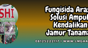 Fungisida Arashi Solusi Ampuh Kendalikan Jamur Tanaman