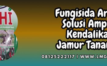 fungisida,arashi,bumi jaya makmur,pertanian,budidaya tanaman,lmga agro