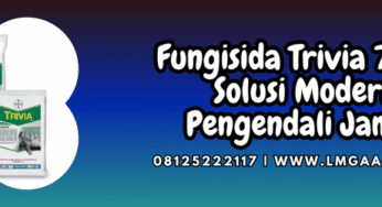 Fungisida Trivia 73 WP Solusi Modern Pengendali Jamur
