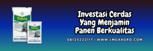 investasi,cerdas,petani,budidaya,lmga agro