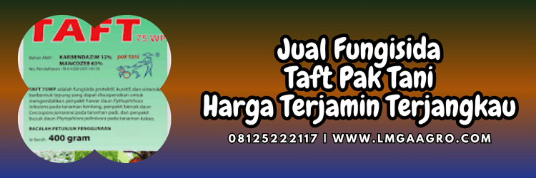 jual,murah,terjangkau,toko pertanian terdekat,pestisida,jamur,penyakit,cendawan,lmga agro
