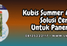 kubis,summer,autumn,f1,lmga agro,summer autumn