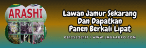 jual,murah,terjangkau,toko pertanian terdekat,lmga agro