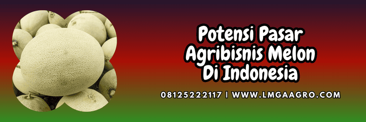 potensi,agribisnis,agrobisnis,budidaya,lmga agro