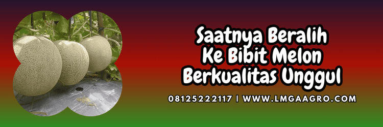 jual,murah,terjangkau,toko pertanian terdekat,lmga agro