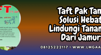 Taft Pak Tani Solusi Hebat Lindungi Tanaman Dari Jamur