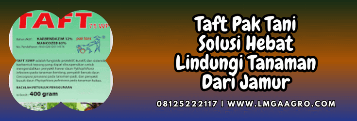 taft,taft 75 wp,pak tani,fungisida,lmga agro