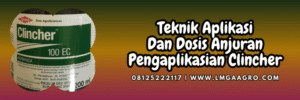 teknik,aplikasi,racun rumput,racun rumput clincher,lmga agro