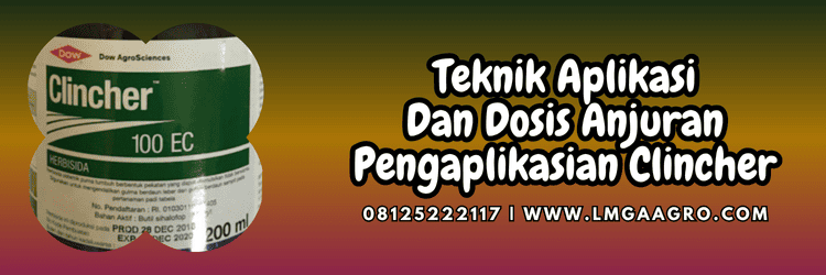 teknik,aplikasi,racun rumput,racun rumput clincher,lmga agro